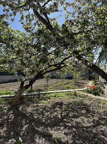 Продажа коттеджей и домов: Продаётся 3-комнатный дом в районе Арча-Бешик (ул. Чортекова, рядом с — 2