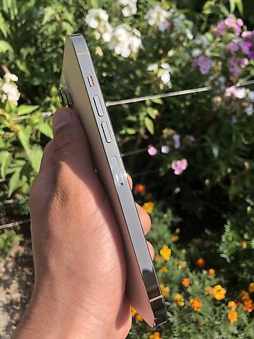 фото 3 на 4: IPhone 13 Pro Max, Б/у, 128 ГБ, Золотой, Зарядное устройство, Защитное стекло, Кабель, 85 % — 5