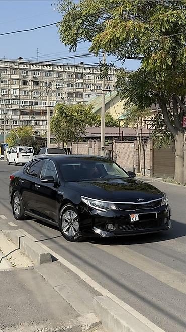 Kia: Kia K5: 2017 г., 2 л, Автомат, Гибрид, Седан — 2