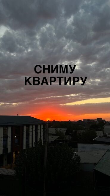 квартира снять на долгий срок: Сниму однокомнатную квартиру, студию, индивидуалку, частный дом без