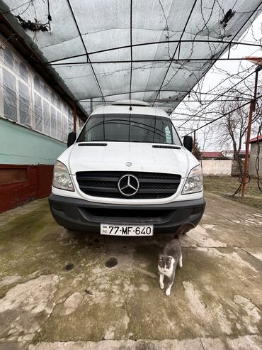 niva turbo az: Mercedes-Benz Sprinter: 2.2 l | 2009 il Universal