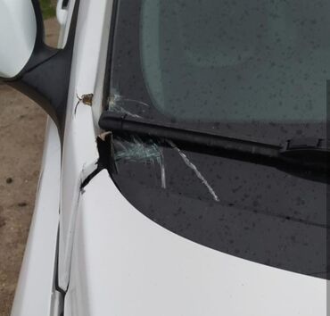 Hyundai: Hyundai Accent: 1.6 l | 2010 il Sedan — 6