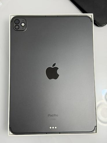 ноутбуки asus бишкек: Планшет, Apple, эс тутум 256 ГБ, 11" - 12", 5G, Колдонулган, Классикалык түсү - Боз — 2