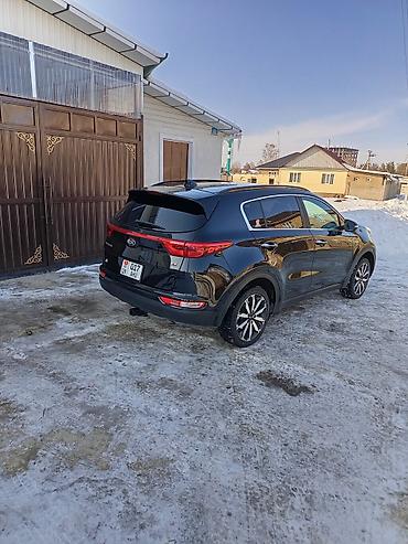 Kia: Kia Sportage: 2018 г., 2.4 л, Автомат, Бензин, Кроссовер — 11