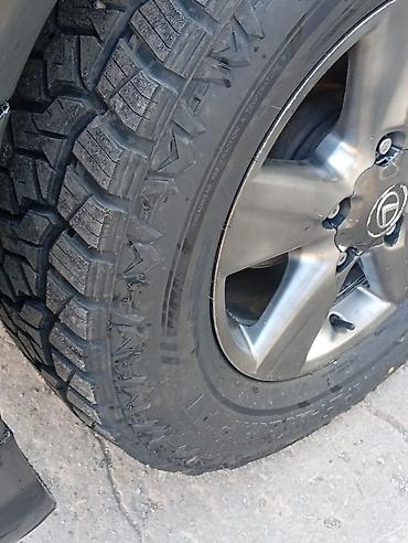 rx 5600: Комплект зимних шин с шипами - Размер: 265/65 R17 - Шипованные — 1