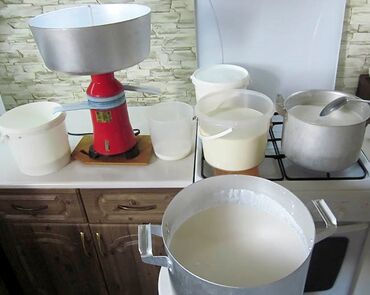 Башка азыктануучу азык-түлүктөр: Домашняя молочная продукция!