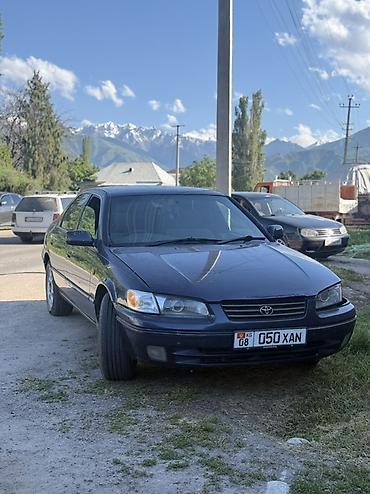 накидка камри: Toyota Camry: 1997 г., 2.2 л, Автомат, Бензин, Седан — 1