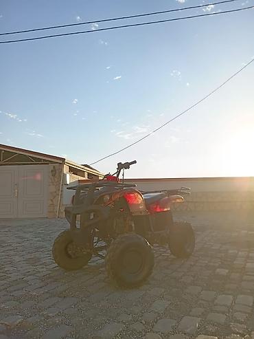 сколько стоит квадроцикл: ATV/kvadrotsikl – benzinli, ön və arxa yük rəfləri ilə - Güclü ofroud — 10