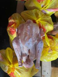 продаю в связи переездом: Свежие домашние индюки с фермы 🦃 Продаю фермерских индюков, выращенных