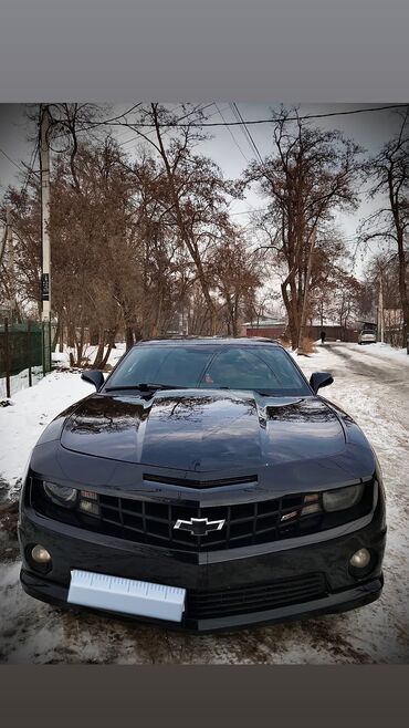 авто шевролет: Chevrolet Camaro: 2013 г., 3.6 л, Автомат, Бензин