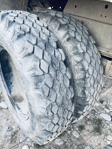 Грузовики: Грузовик — 6