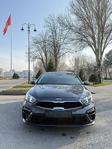 Kia: Kia Cerato: 2019 г., 1.6 л, Автомат, Бензин, Седан — 14