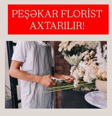 Тарелки: Peşəkar Bəy Florist Tələb Olunur! Ünvan - Sahildə Yerləşir. İş Saatı -