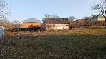 Torpaq sahələrinin satışı: 20 sot, Tikinti, Mülkiyyətçi, Kupça (Çıxarış) — 11