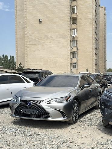 lexus es 2 5: Lexus ES: 2019 г., 2.5 л, Вариатор, Гибрид, Седан — 1