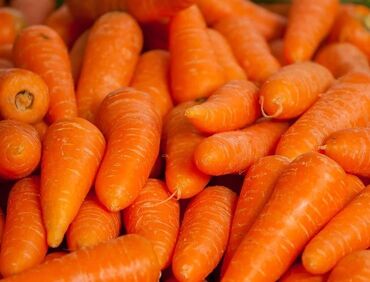 корм для животных: Кормовая морковка ! Сатылат морковка ! Кормовая морковка мытая