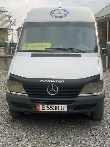 Пассажирский бус на заказ: Mercedes-Benz Sprinter (длиннобазный микроавтобус, высокий потолок) — 1