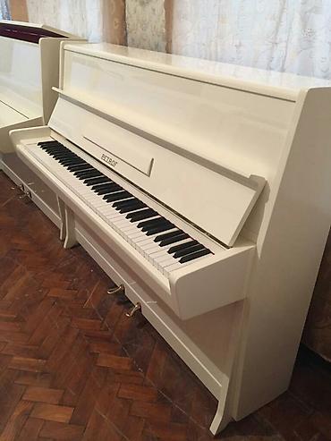 Musiqi alətləri: Pianino PETROF Cexya stehsalı. Ideal vəziyyədə. Cadırılma və köklənmə — 3