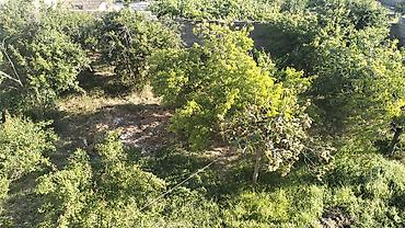 Həyət evləri və villaların satışı: 6 otaqlı, 437 kv. m -da lalafo.az — 19 Həyət evləri və villaların satışı: 6 otaqlı, 437 kv. m — 19