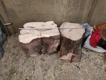 дерево дрова: Дрова Самовывоз, Платная доставка