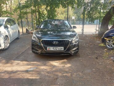 хундай соната нью райс: Hyundai Sonata: 2018 г., 2 л, Автоматтык, Гибрид, Седан