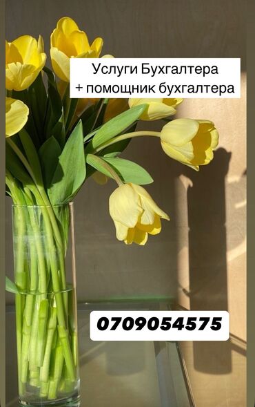 работа в оше без опыта для девушек: Бухгалтер. До 1 года опыта