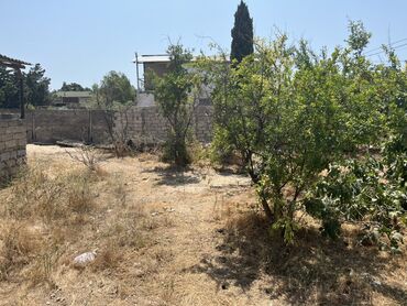 Torpaq sahələrinin satışı: 6 sot, Mülkiyyətçi, Kupça (Çıxarış) — 34