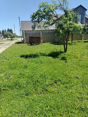 ismayilli torpaq: Quba rayonuna 2 km mesafede Alekseyevka kendinde 4 sot torpaq sahəsi — 2