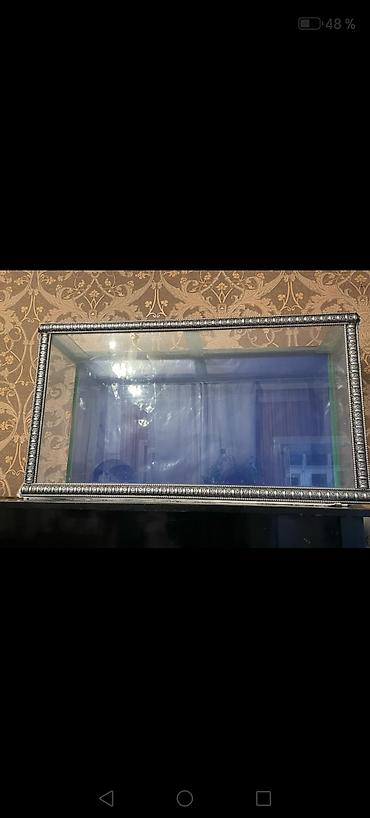 beta balığı qiymət: Dördbucaq akvarium, Boş, 150 l, Ödənişli çatdırılma, Ünvandan götürmə, Rayonlara çatdırılma — 2