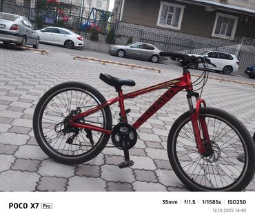 мотоциклы альфа: Горный велосипед, Рама XS (130 -155 см), Алюминий, Б/у