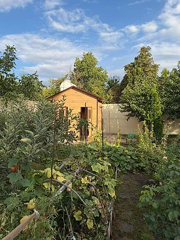 Продажа дачи: 🌿 Продаётся уютный благоустроенный загородный дом в живописном месте! — 16