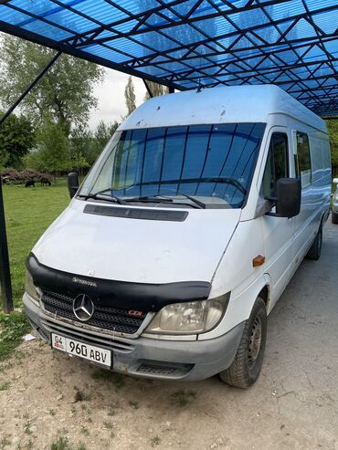Mercedes-Benz: Mercedes-Benz Спринтер: 2004 г., 2.2 л, Механика, Дизель, Бус