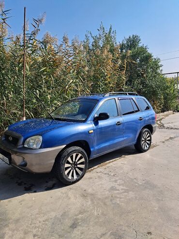 купить hyundai tucson: Hyundai Santa Fe: 2002 г., 2 л, Механика, Бензин, Кроссовер