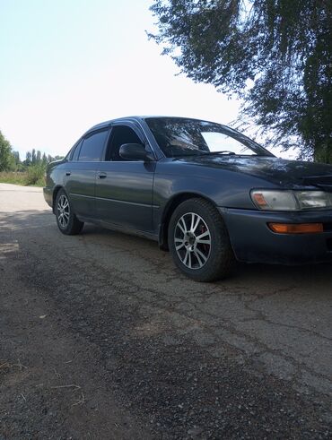 toyota рав 4: Toyota Corolla: 1995 г., 1.5 л, Автомат, Бензин, Седан