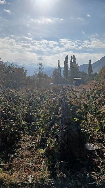 Продаётся участок в селе Арашан. Участок около 10 соток. Можно — 2