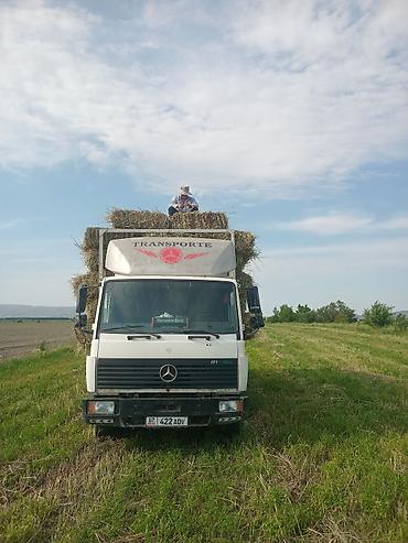 акорд 1 8: Грузоперевозки на бортовом грузовике Mercedes-Benz - Тип — 3