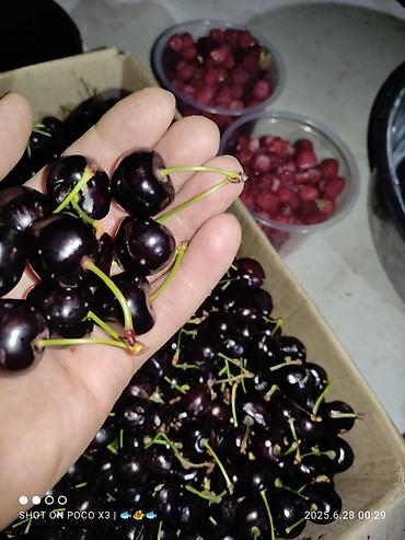 Продажа коттеджей и домов: Дом в ЧолпонАте р-он Хутор на участке более 10соток Продажа, два дома — 12