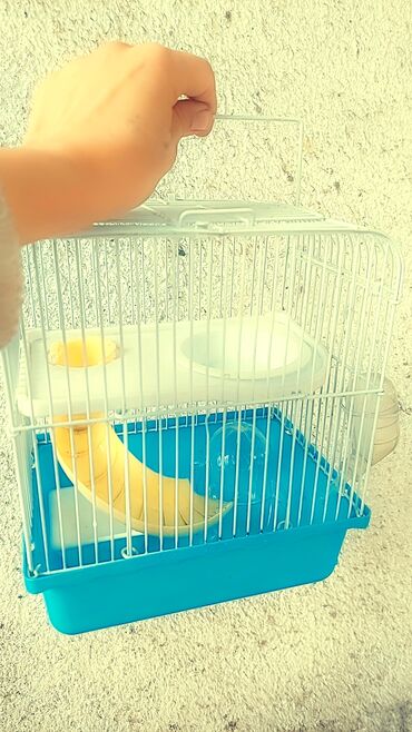 домик для хомяков: Набор для содержания хомяка/мелкого грызуна. клетка + 1 хомячок всего