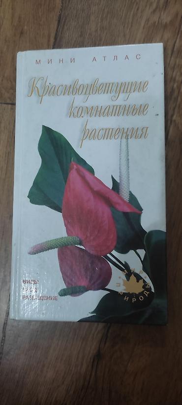 приму в дар комнатные цветы: Книга мини-атлас "Красивоцветущие комнатные растения" — 1