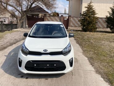 дешёвые машина: Kia Morning: 2019 г., 1 л, Автомат, Бензин, Хэтчбэк