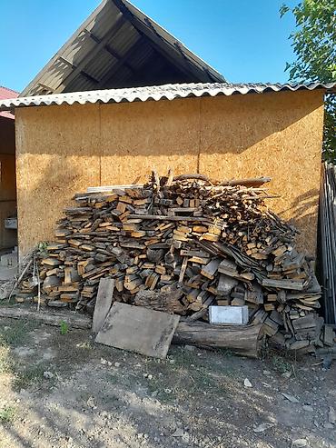 Дрова at lalafo.kg Дрова