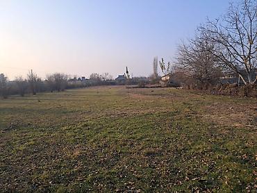 Torpaq sahələrinin satışı: 25 sot, Mülkiyyətçi — 3