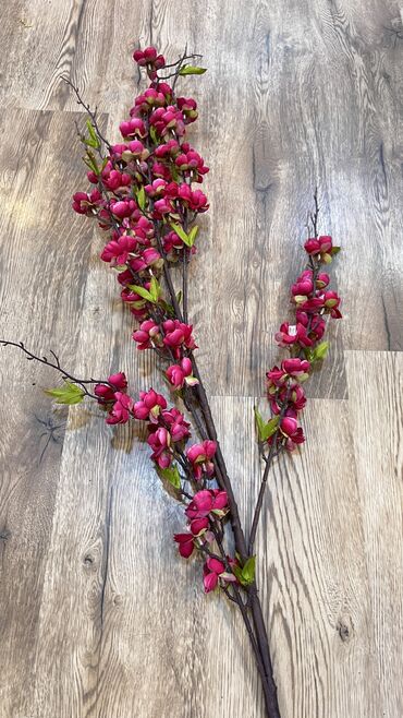 Digər ev dekoru: 10 man baslayan qiymetlerr — 8