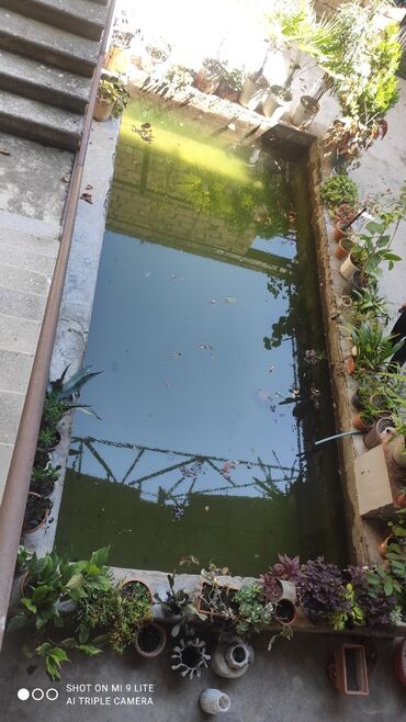 Həyət evləri və villaların satışı: 5 otaqlı, 100 kv. m, Kredit yoxdur, Təmirsiz -da lalafo.az — 6 Həyət evləri və villaların satışı: 5 otaqlı, 100 kv. m, Kredit yoxdur, Təmirsiz — 6