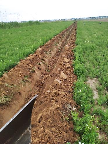 Арычники: Арычник новый — 12