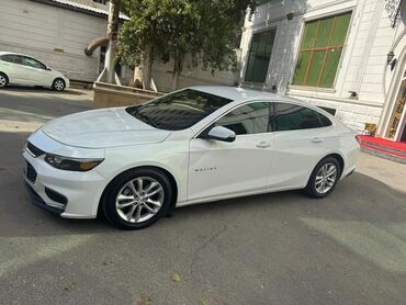 Chevrolet: Ağ rəngdə Chevrolet Malibu sedanı. Təkərləri alüminium disklərlə