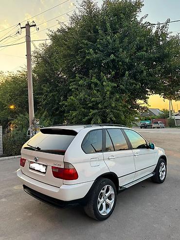 BMW: BMW X5: 2004 г., 3 л, Автомат, Бензин — 4
