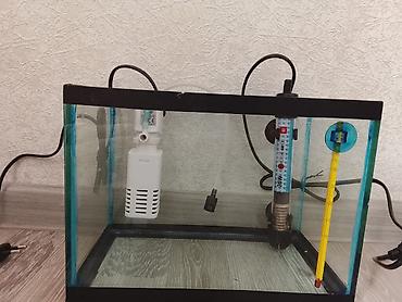 akvarium baku: Akvaryum dəsti - Şüşə akvaryum, düzbucaqlı forma, qara karkaslı — 1