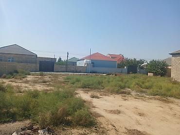 karavan satışları: 4 sot, Kənd təsərrüfatı, Mülkiyyətçi, Kupça (Çıxarış) — 3