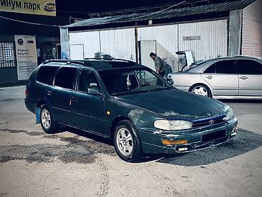 Toyota: Toyota Camry: 1992 г., 2 л, Автомат, Бензин, Универсал — 1
